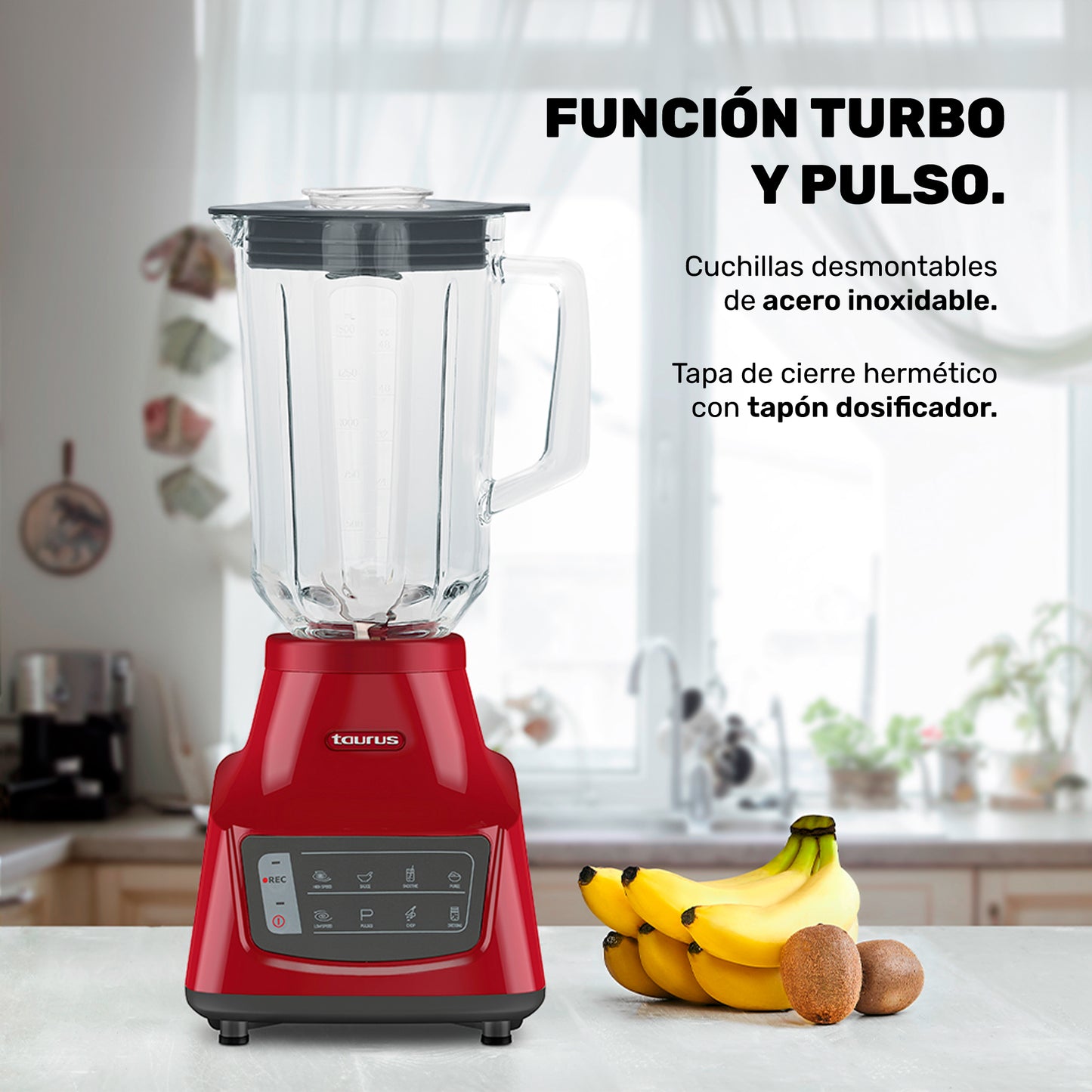 LICUADORA GRANDEUR TOUCH REC