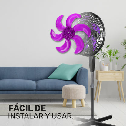 Hélice universe