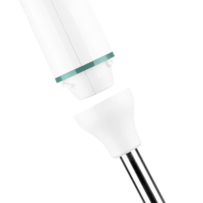 BATIDORA DE INMERSIÓN ROBOT 750