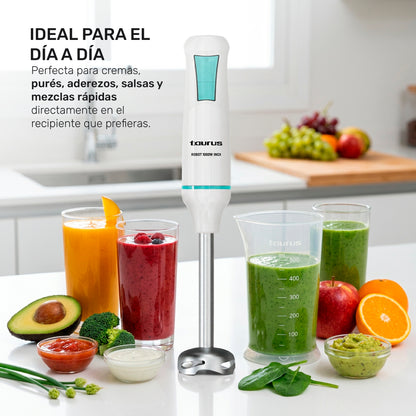 Batidora de inmersión Robot 1000 inox