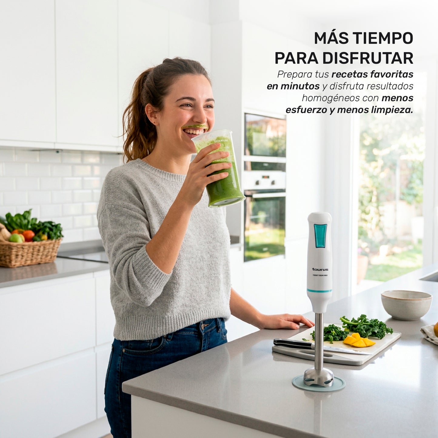 Batidora de inmersión Robot 1000 inox