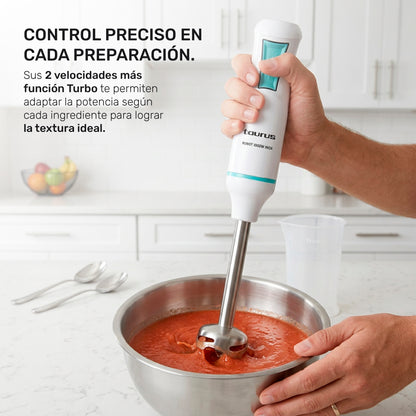 Batidora de inmersión Robot 1000 inox