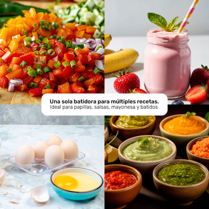 Batidora de inmersión robot 750 plastic