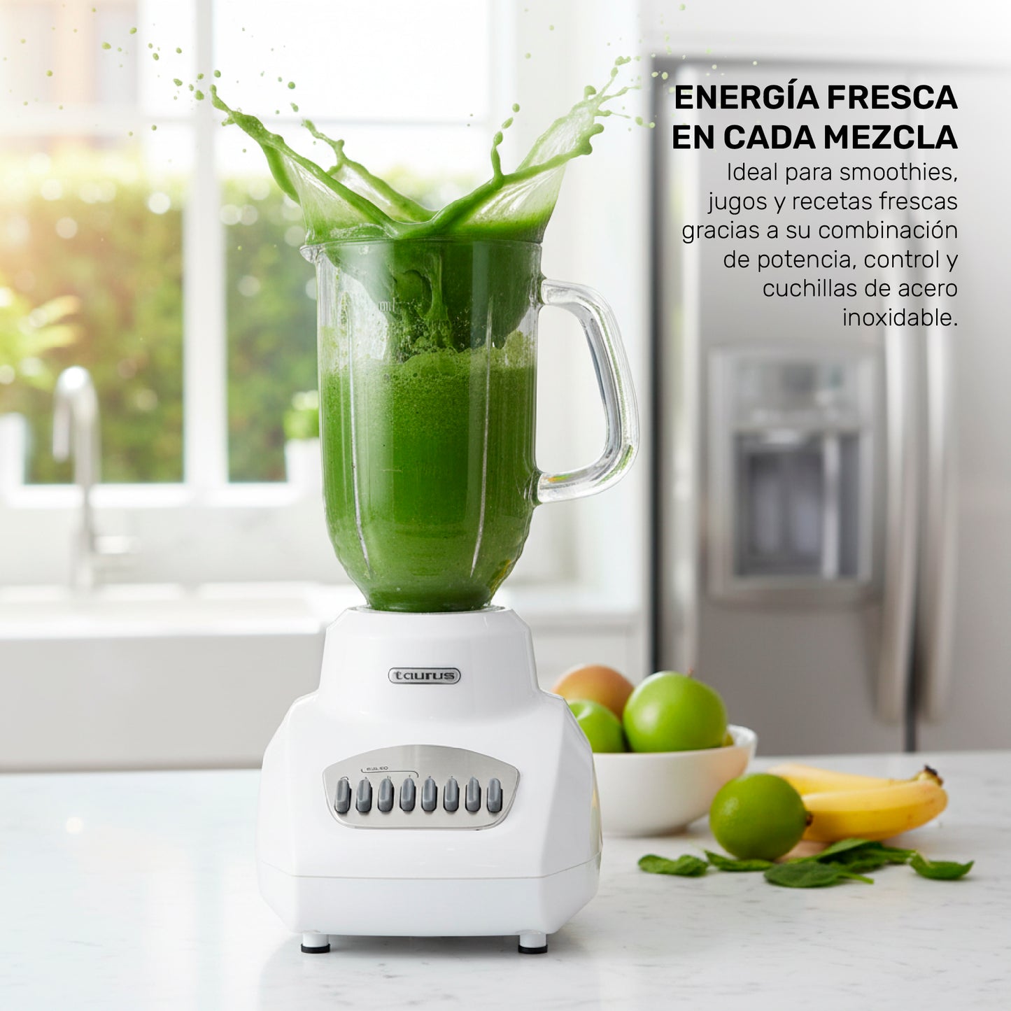 Licuadora Valencia