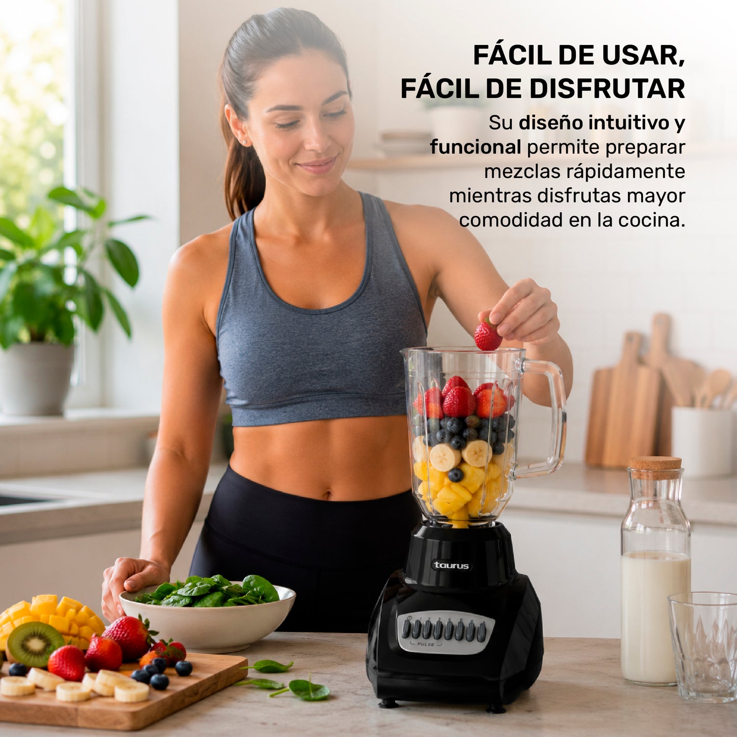 Licuadora Valencia