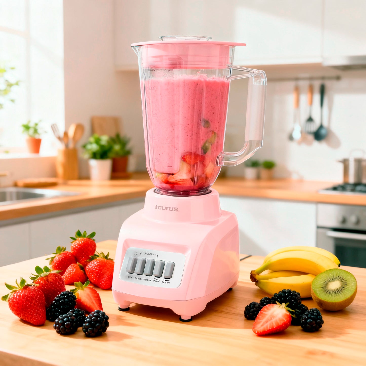 Licuadora Haley Ribbon