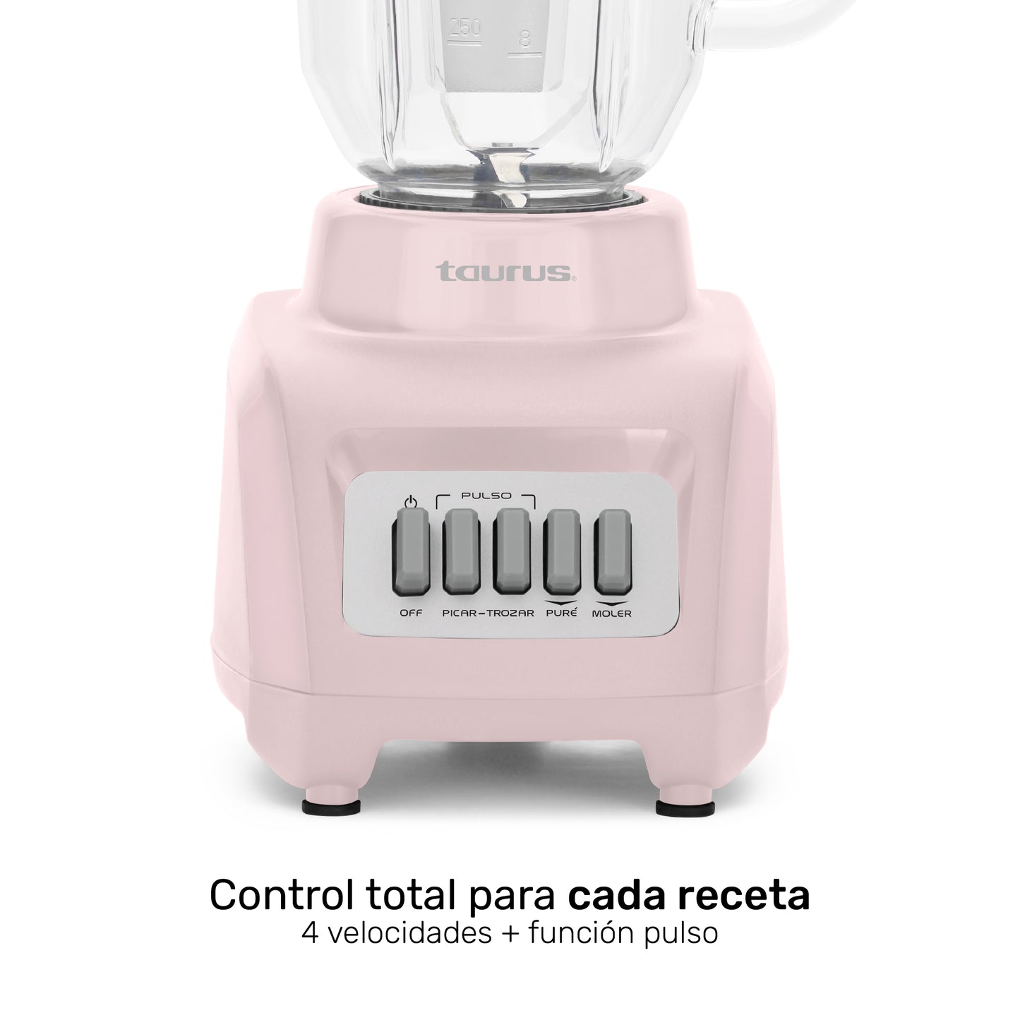 Licuadora Haley Ribbon