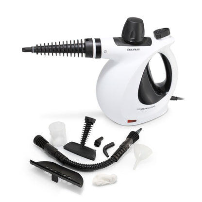 LIMPIADOR DE VAPOR MEDUSA CLEAN