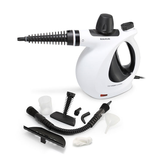 LIMPIADOR DE VAPOR MEDUSA CLEAN