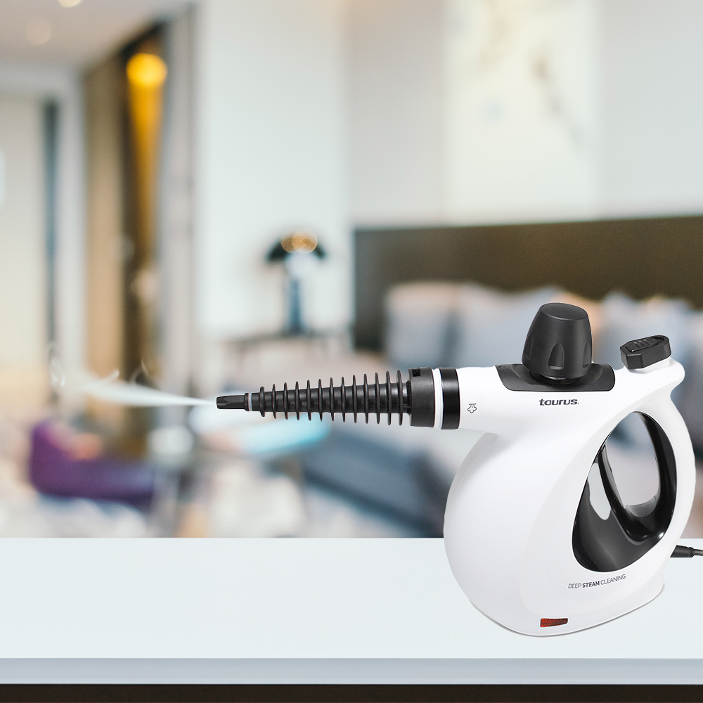 LIMPIADOR DE VAPOR MEDUSA CLEAN