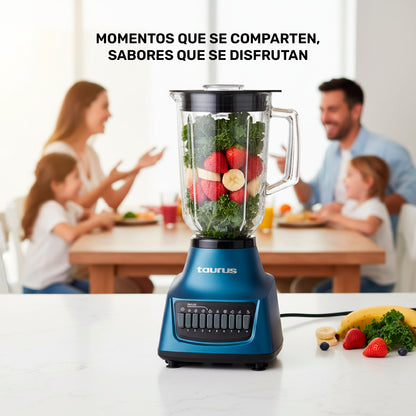 Licuadora Multiblend 10
