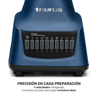 Licuadora Multiblend 10