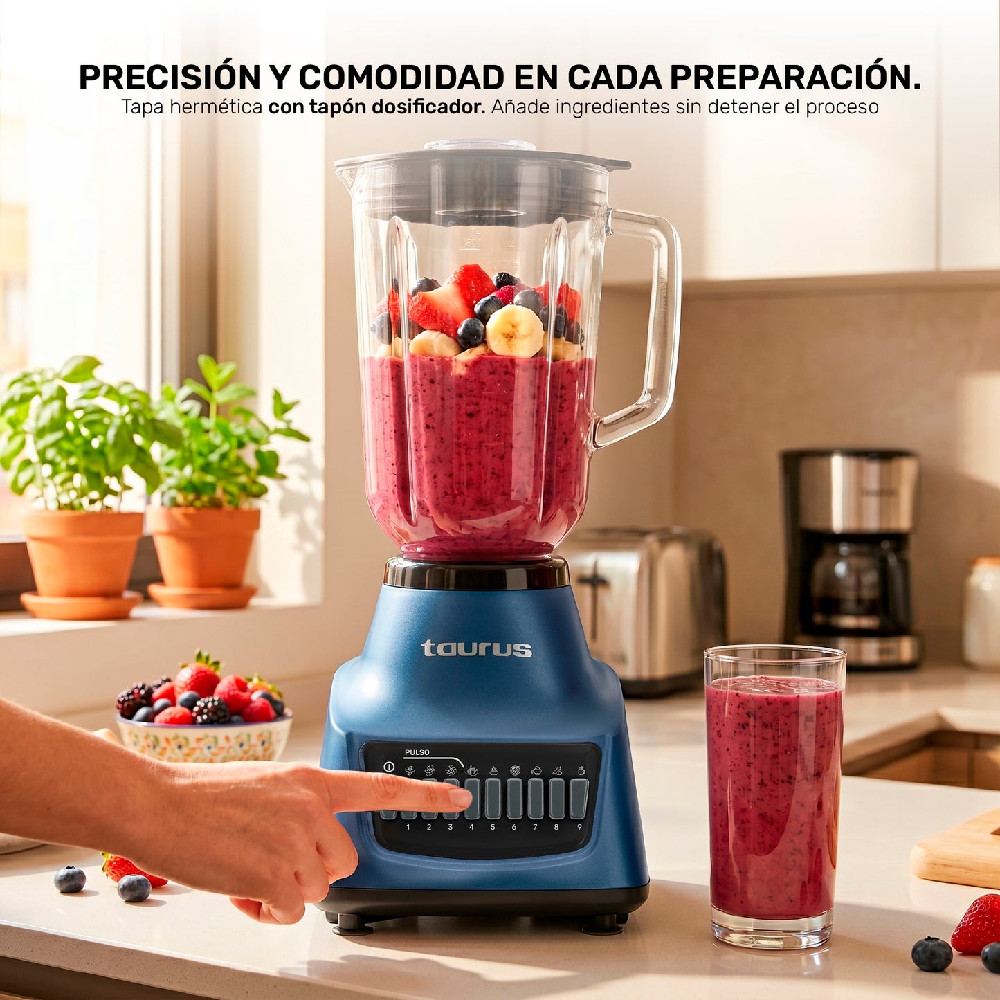 Licuadora Multiblend 10
