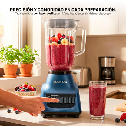 Licuadora Multiblend 10