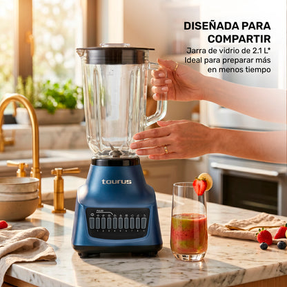 Licuadora Multiblend 10