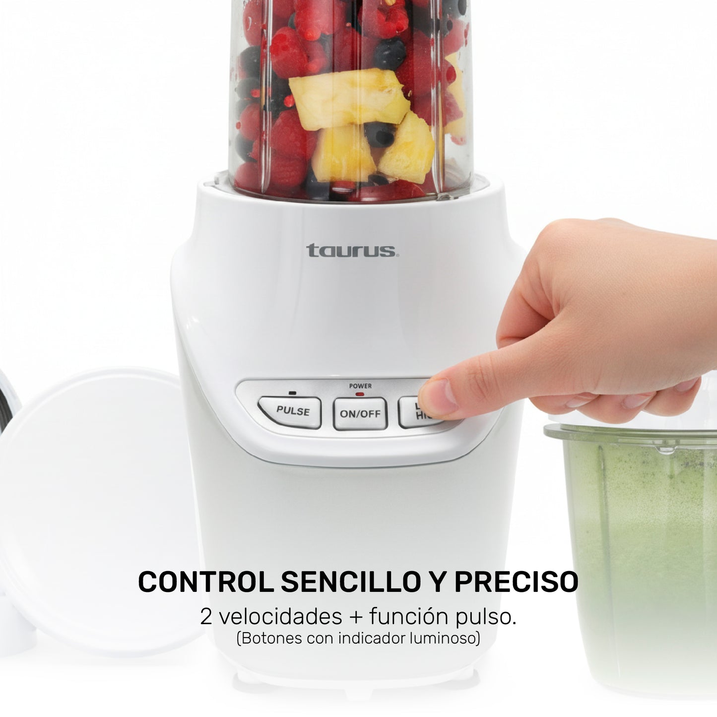 Pulverizador de alimentos Natural Green V2