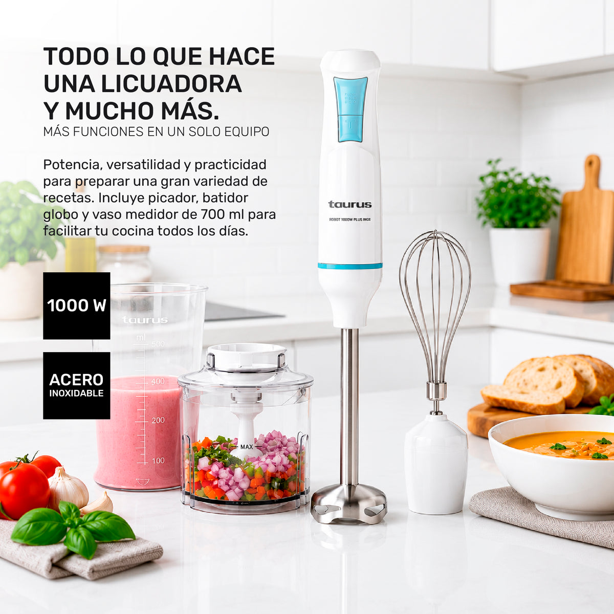 Batidora de inmersión Robot 1000 plus inox