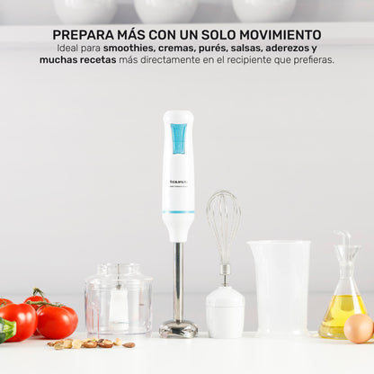 Batidora de inmersión Robot 1000 plus inox