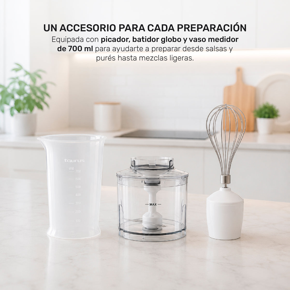 Batidora de inmersión Robot 1000 plus inox