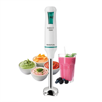 Batidora de inmersión Robot Inox 750