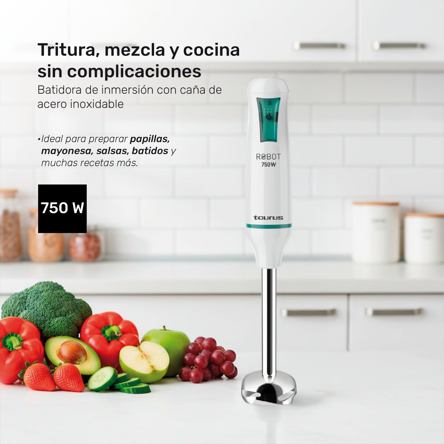 Batidora de inmersión Robot Inox 750
