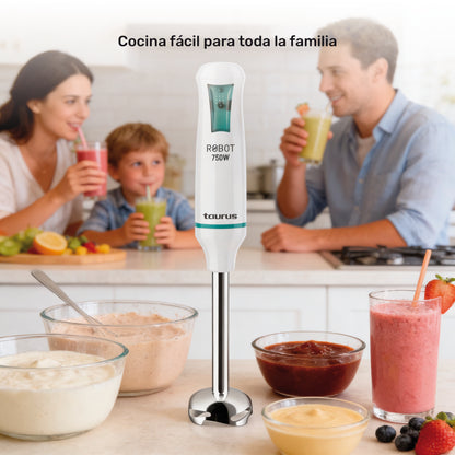 Batidora de inmersión Robot Inox 750