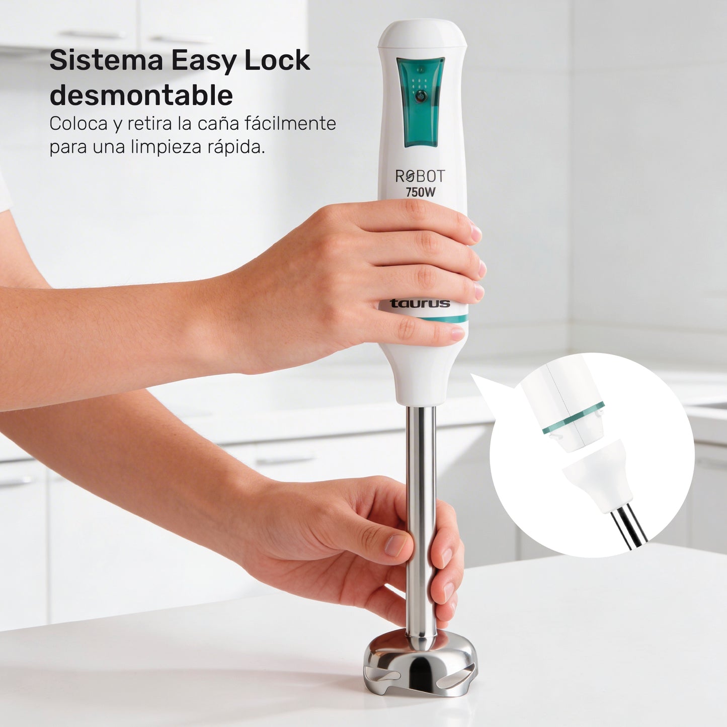 Batidora de inmersión Robot Inox 750