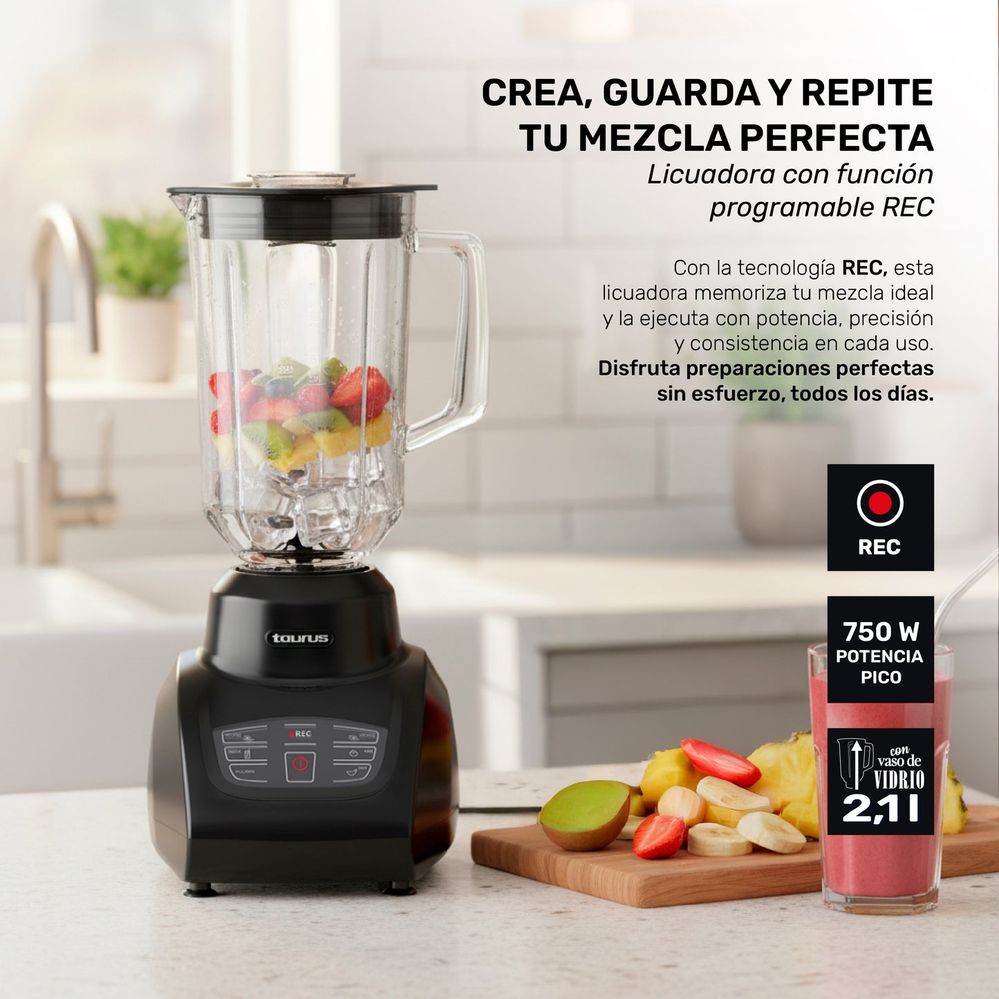 Licuadora Sevilla Rec